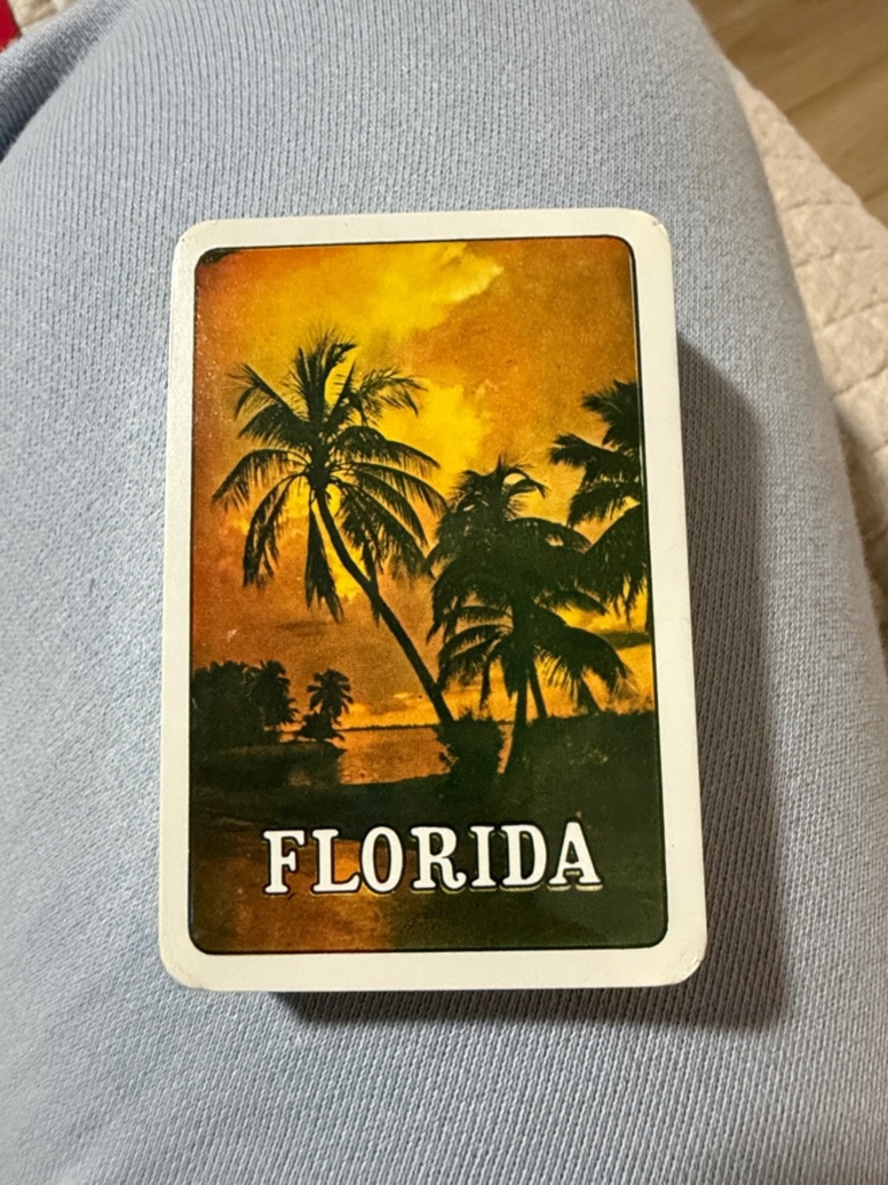 Florida Palm Tree Souvenir Cards- NEW